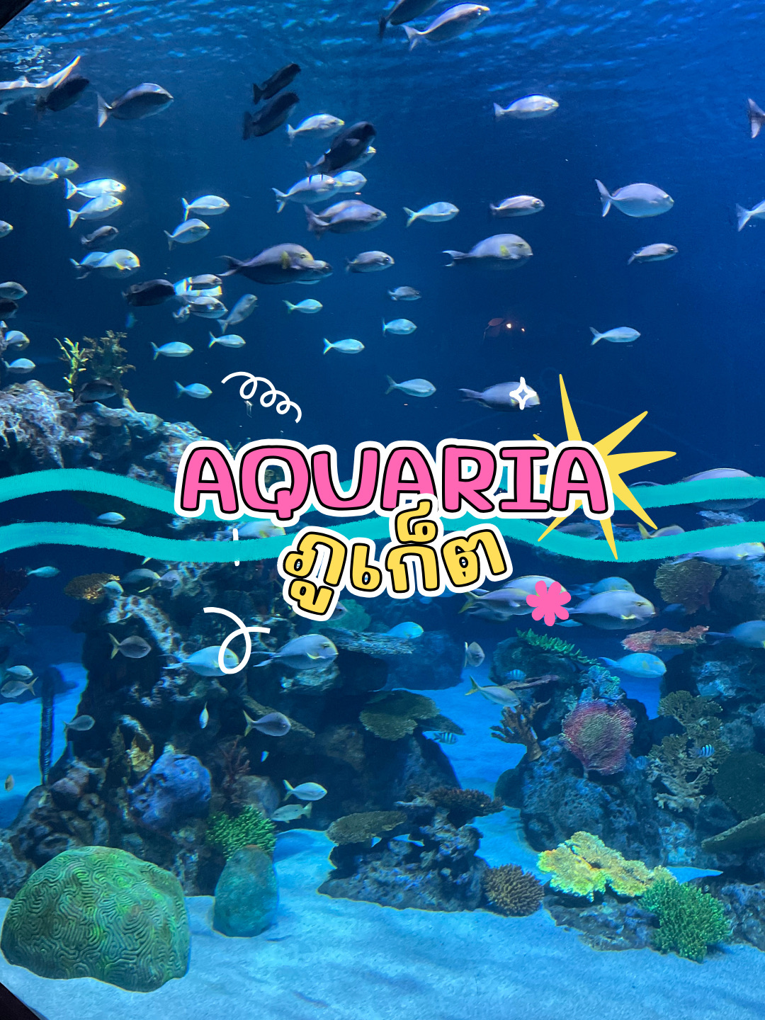 Aquaria Phuket is a large aquarium located in Central Phuket, offering easy access and suitable for both kids and adults, especially on hot or rainy days 🌊

The highlight is the underwater tunnel where you can walk through and watch fish swimming around you, giving you the feeling of being under the sea. There are zones featuring sea fish, jellyfish, and unique aquatic creatures. It's a great spot for taking stunning photos, and you can comfortably spend about 1–2 hours exploring.

⏰ Opening hours: Approximately 10:30 AM – 7:00 PM (We recommend checking the hours before visiting)
🎟️ Tickets: We suggest purchasing tickets in advance through the Trip app for a cheaper price compared to buying at the counter.

Overall, it's a convenient city attraction with cool air conditioning, fun for kids, and a great photo opportunity for adults 🐟✨