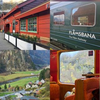 🔟世界で最も景色の美しい列車の旅の一つ::Flåm 1D🏞