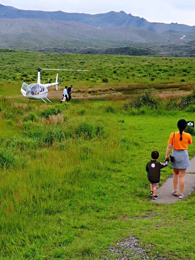 阿蘇火山草原濕地探索日記🌳  