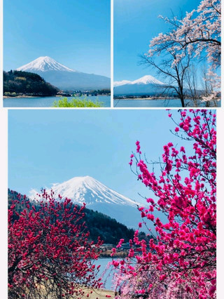 【山梨旅】富士山を美しく撮るスポットまとめ