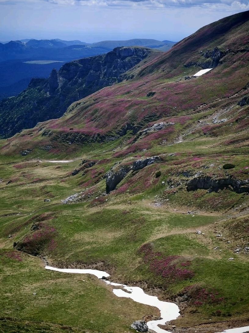 ドラキュラ伝説の隣で霧が囁く——ルーマニア・ブチェジ山 絶景