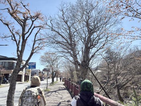 2026 Nikko Attraction] G7 NIKKO Travel Guide & Travel Experiences