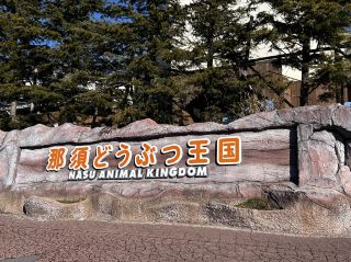 Nasu Animal Kingdom: A Must-Visit for Cat Lovers.