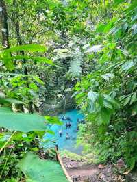 Kolam Abadi – Samosir's Hidden Jungle Paradise