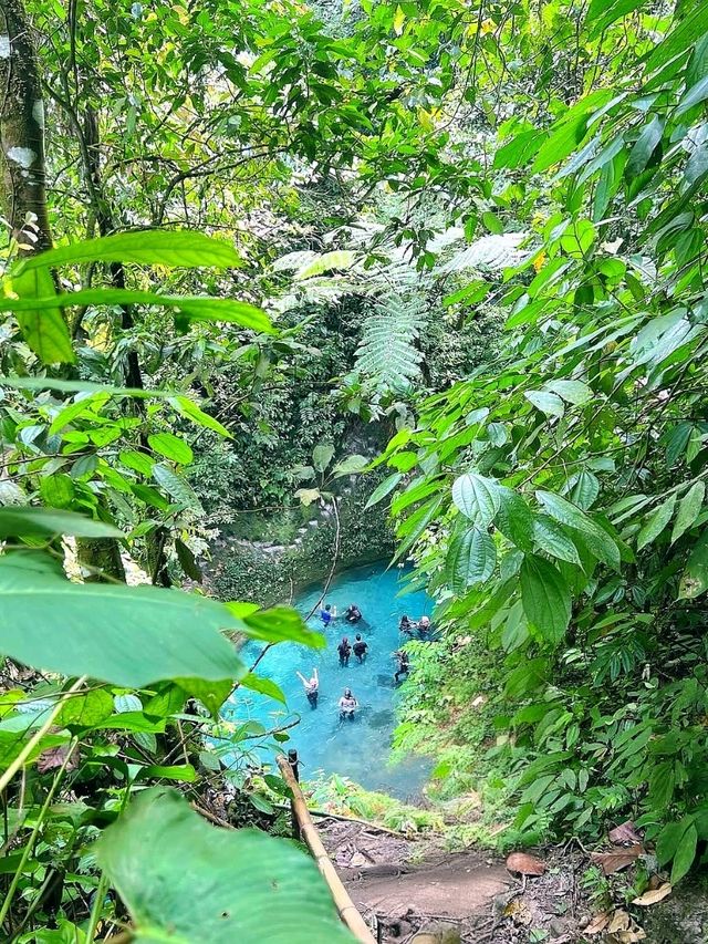 Kolam Abadi – Samosir's Hidden Jungle Paradise