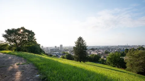 A Signature Viewpoint in Tokyo's Tama Area. — traveler post in Fuchu