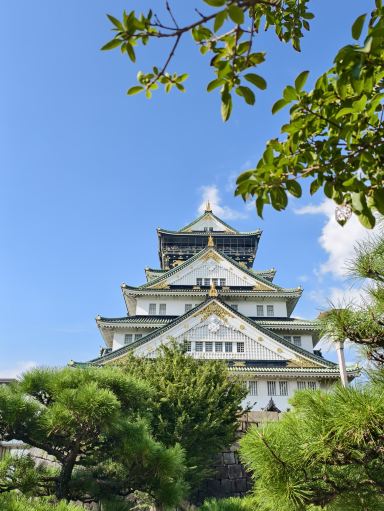 手を繋いで四半世紀、銀婚式に大阪城を再訪。 | Trip.com 大阪