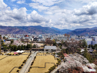 長野縣松本城櫻花盛放美景 🌸