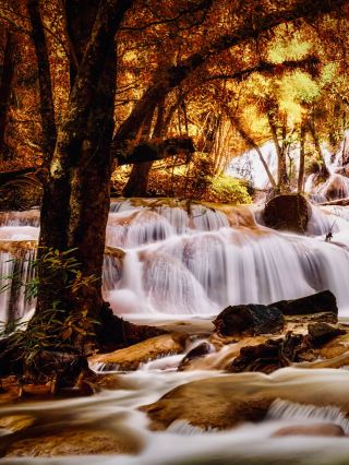 Australia Tasmania Lyell Highway Mossy Franklin River Stop