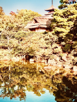 Taketa’s Oka Castle Ruins Hillside Hanami Loopslowtraveling