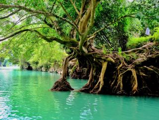 💧 Daxiaojing Scenic Area | A Hidden River Valley in Guizhou