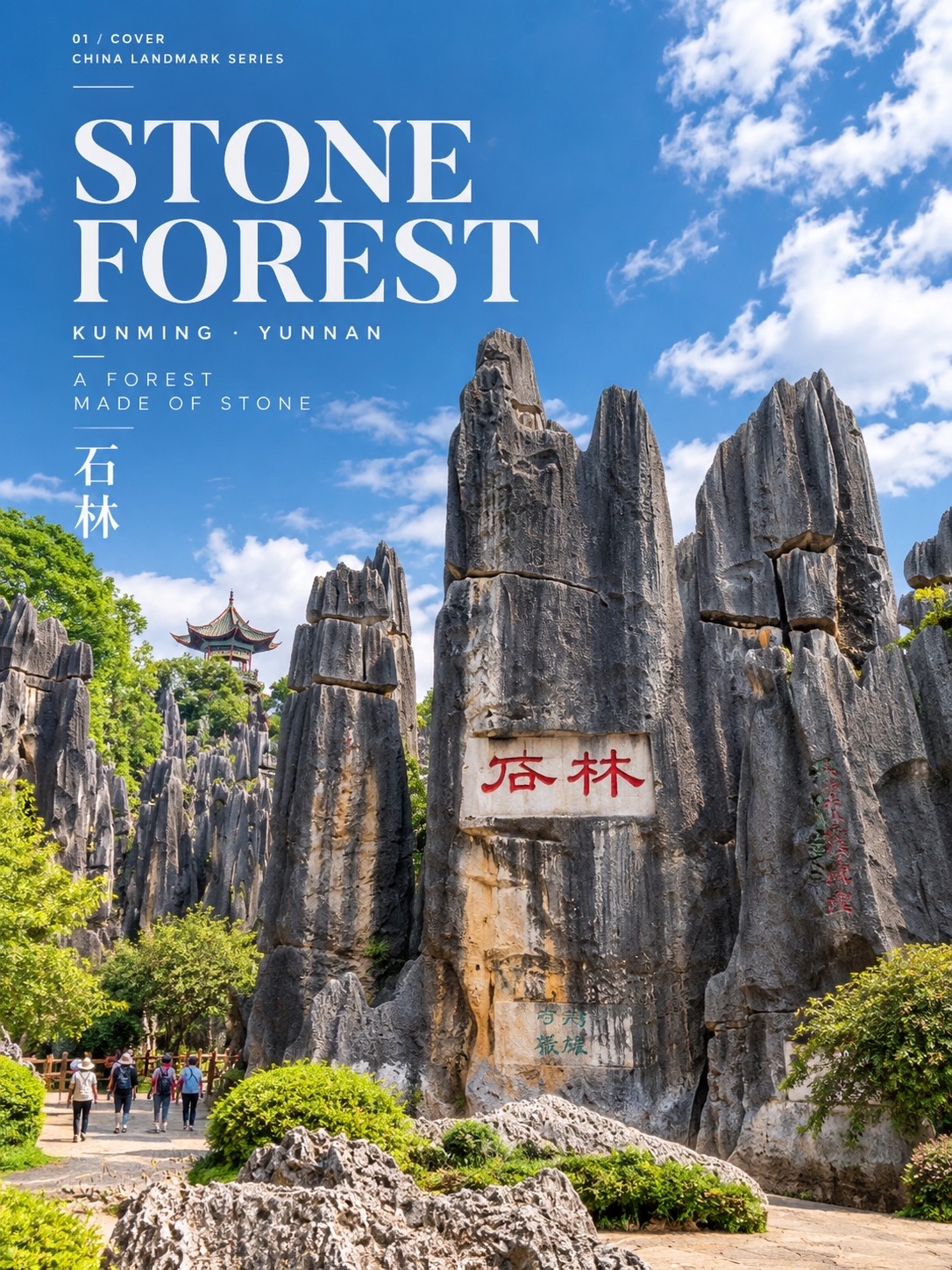 It's like being in a fantasy world! This is the "Stone Forest," hundreds of millions of years old, in China. 🪨🌿