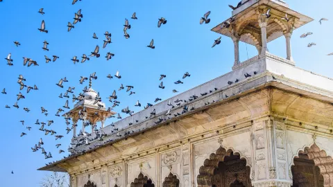 Exploring the Epic Red Fort: Delhi’s Timeless Icon 🏰✨ — traveler post in Agra