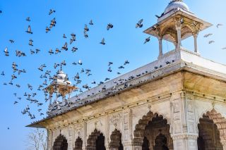 Exploring the Epic Red Fort: Delhi’s Timeless Icon 🏰✨
