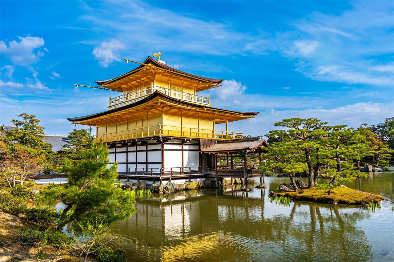 Navigating Kyoto: Ancient Shrines, Bamboo Groves, and Historic Quarters!