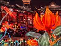 Year of Rabbit Lantern festival [Pictures]