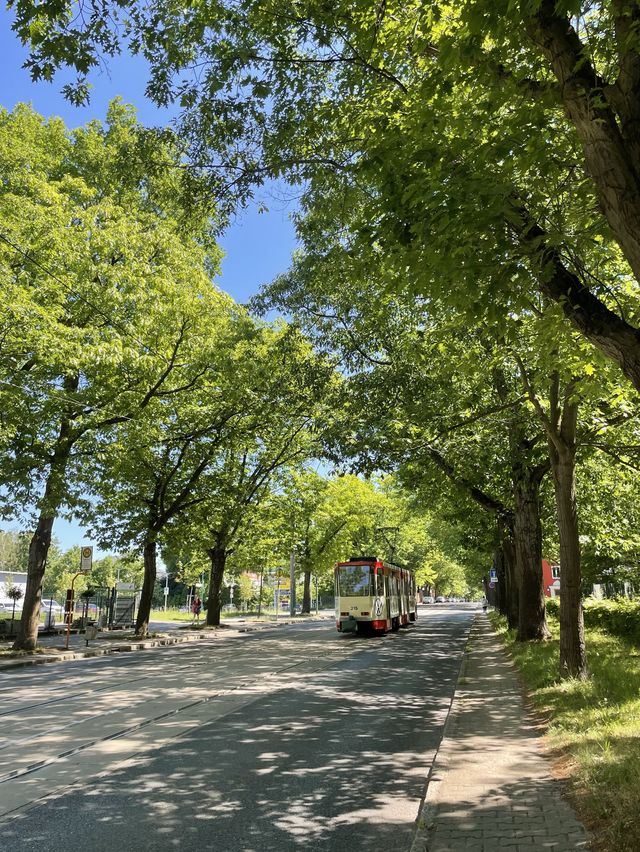 [독일/프랑크푸르트오더]🇩🇪독일, 어디까지 가봤니? 독일의 동쪽 끝! 프랑크푸르트 오더