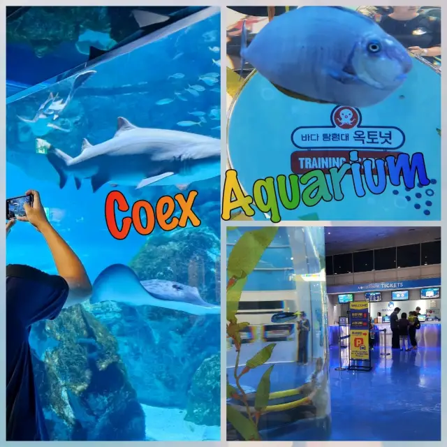 韓國最大室內水族館～Coex Aquarium 