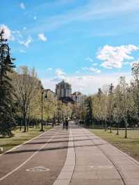 🌿 Prince’s Island Park – Calgary’s Peaceful Downtown Oasis