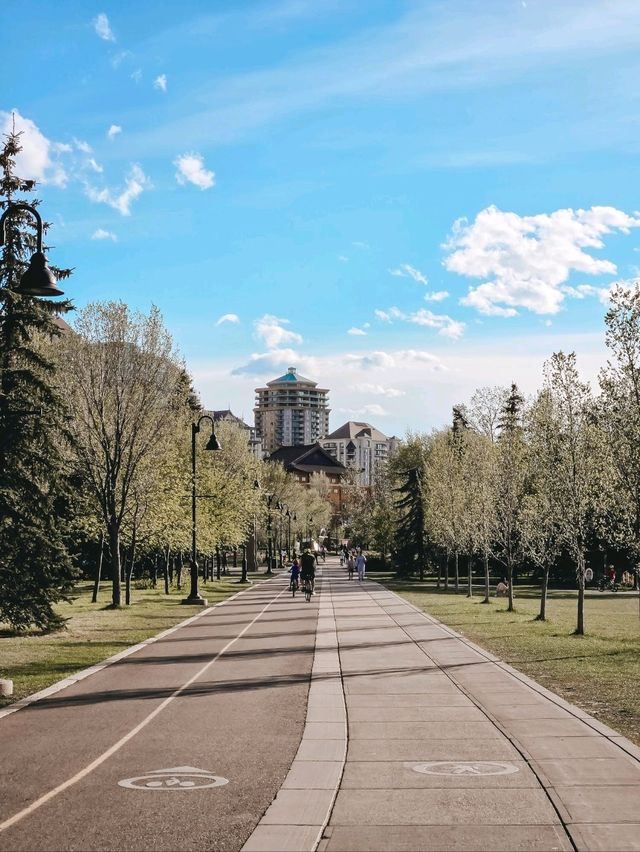 🌿 Prince’s Island Park – Calgary’s Peaceful Downtown Oasis