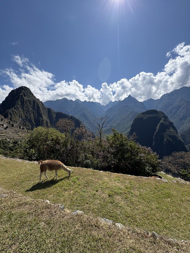 Marvellous moments at Machu Picchu 