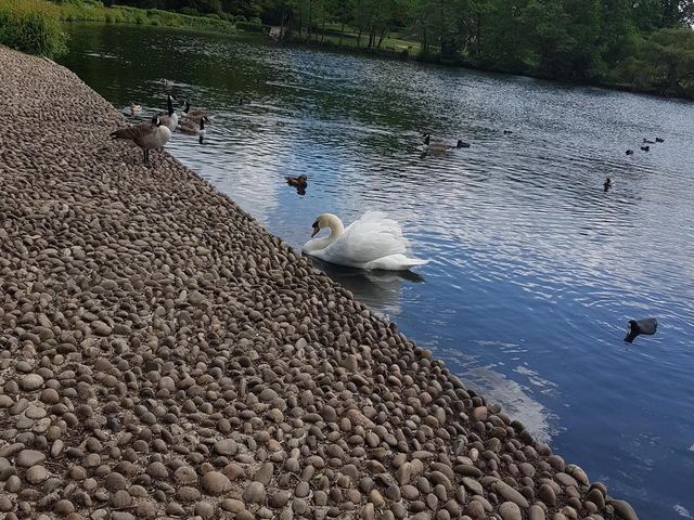 Grovelands Park London 🇬🇧