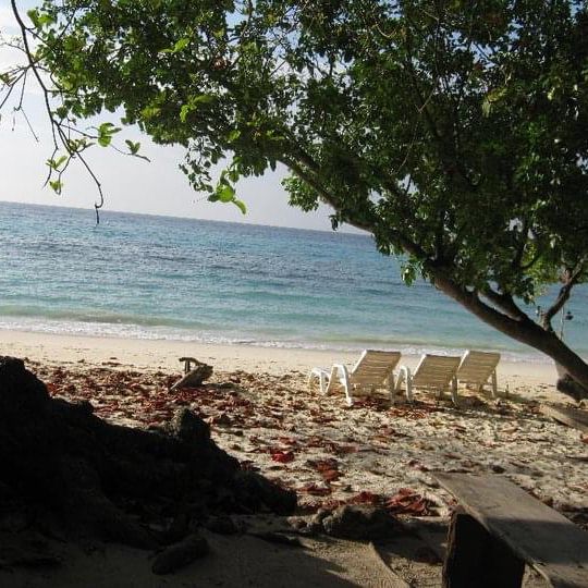 Koh Rok … Beach of Trang, Thailand 