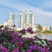 Benchakitti Park, Bangkok Thailand 🇹🇭