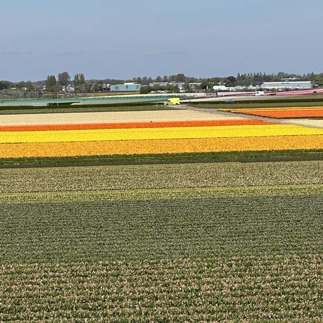 Keukenhof Garden