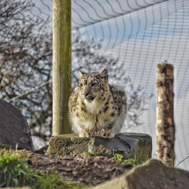 Northumberland Zoo 🐘