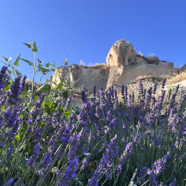 Wonderful Cappadocia 