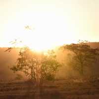 Shortleft to Swaziland 