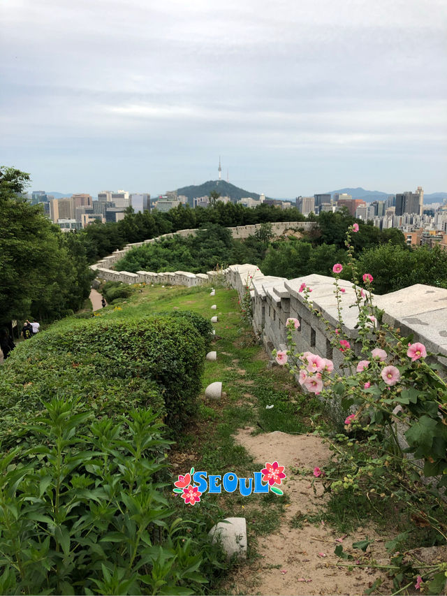 서울 도심속에서 가벼운 등산을!