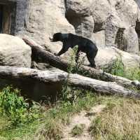 Łódź Zoo 🇵🇱