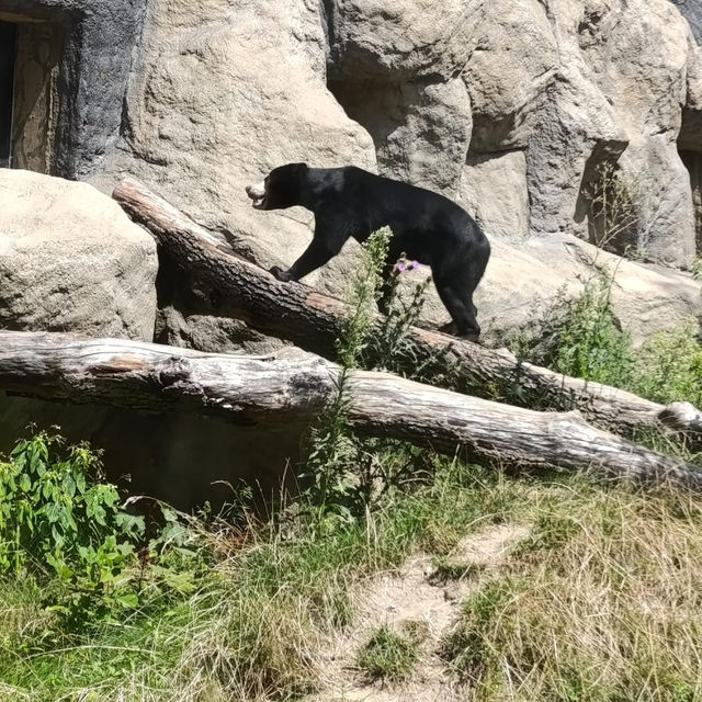 Łódź Zoo 🇵🇱