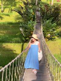 Cretya club Bali