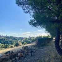 Exploring the Forest Above Alameda del Parral in Segovia 🌲