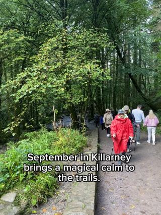 Strolling Killarney’s Trails in September 🌲🍁