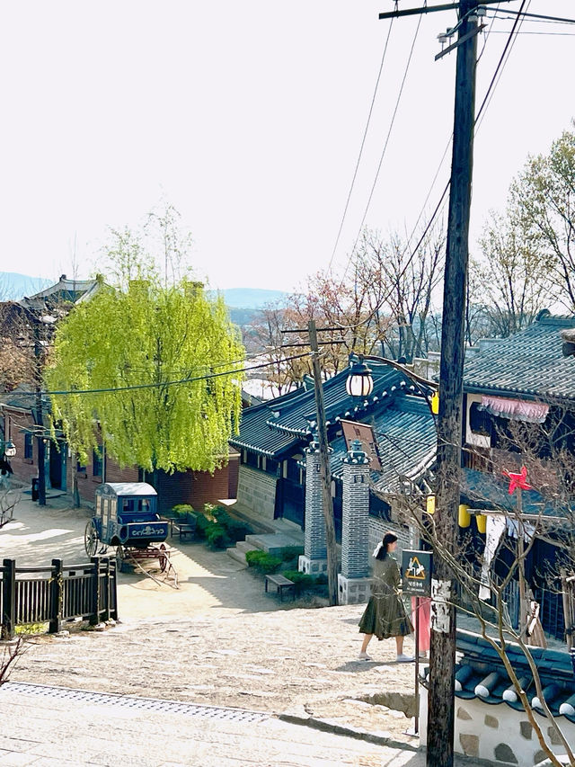 국내여행 가볼만 한 곳: 논산 선샤인 스튜디오