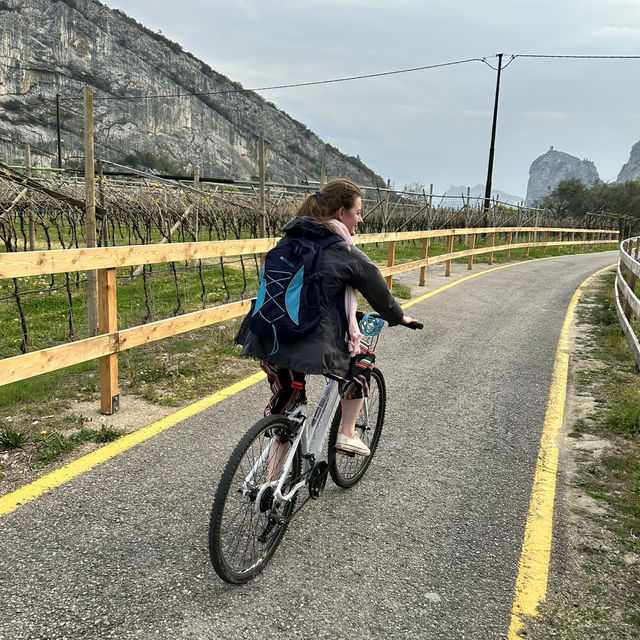 Bike and wine: a fitting reward