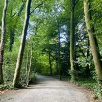 Kilkenny Castle Trail, A September Hiking 🌳