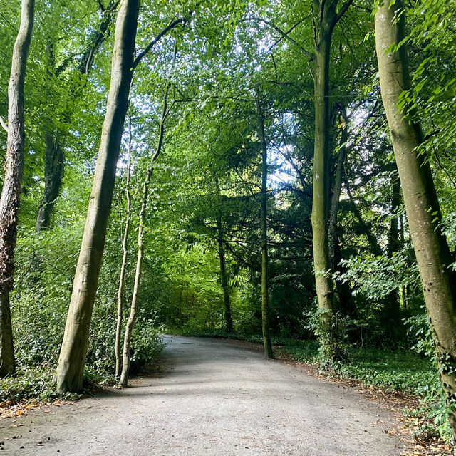Kilkenny Castle Trail, A September Hiking 🌳