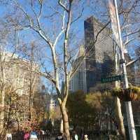 New York in winter 🍁