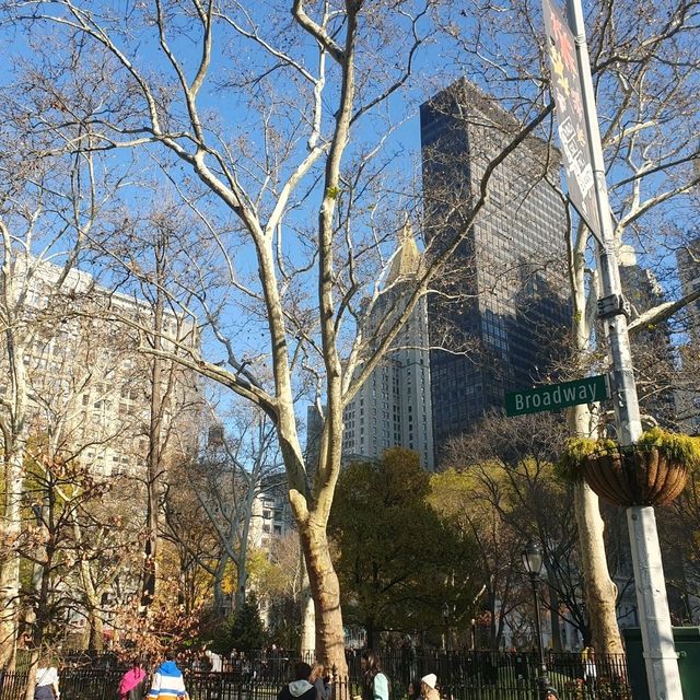 New York in winter 🍁