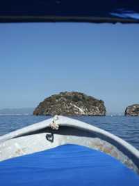 Mexico | Swim with Dolphin and enjoy the sea view
