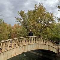 🍂 Travel to Sulaymaniyah, Iraq in Autumn 🍂