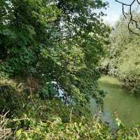 A fab dog walk in Derby!!