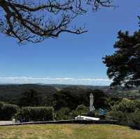 Wonderful winery in Waiheke