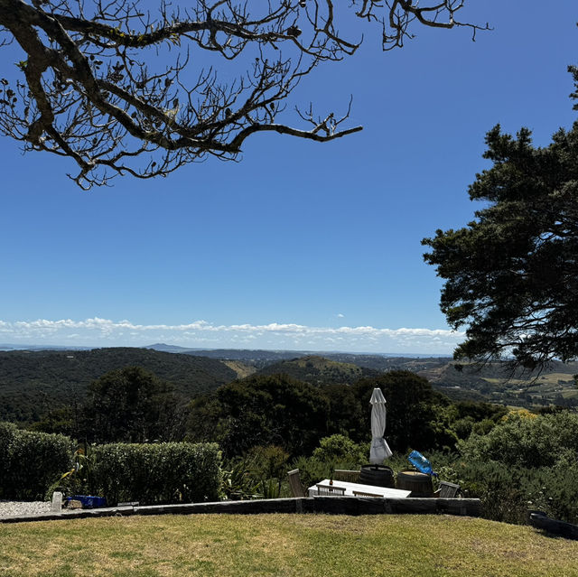 Wonderful winery in Waiheke