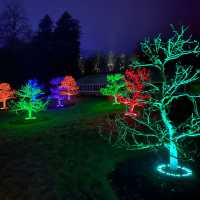STOURHEAD CHRISTMAS LIGHTS!🎄